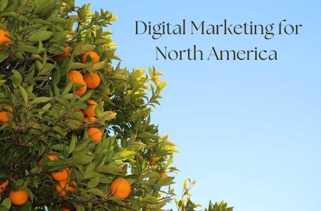 2024 Digital Marketing for North America