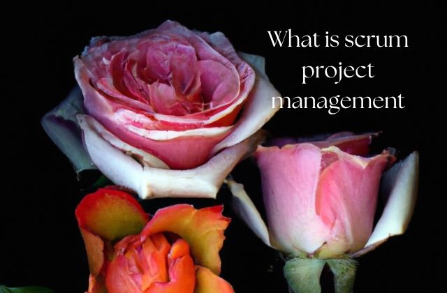 What is Scrum Project Management? A Complete Guide