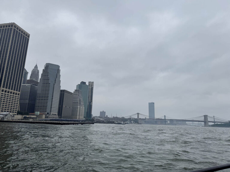 Ecommerce Management