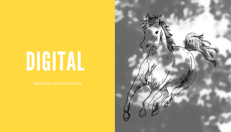 Digital Marketing and e-commerce Course from Idea to Income