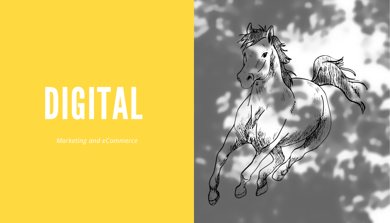 Digital Marketing and e-commerce Course from Idea to Income