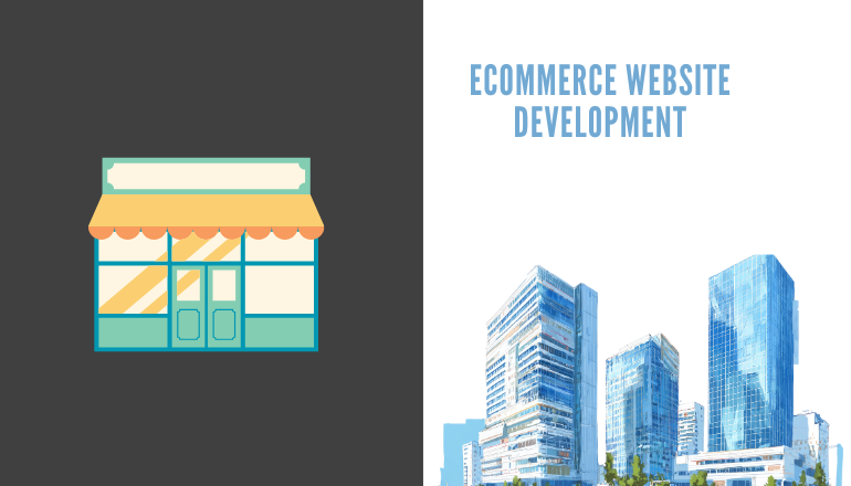 Professional ecommerce website development online store setup